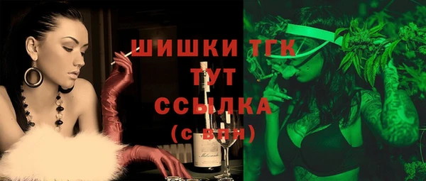 шишки Аркадак