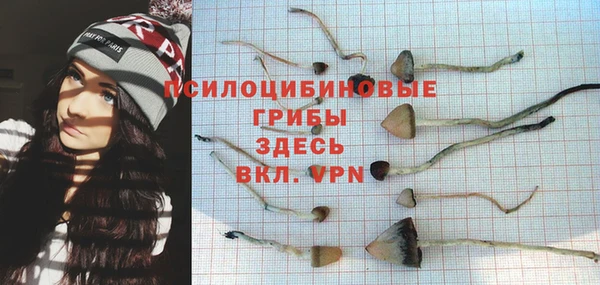 спайс Арсеньев